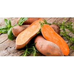 Patate douce