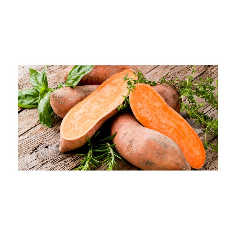 Patate douce