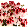Florabella - droit - bicolore